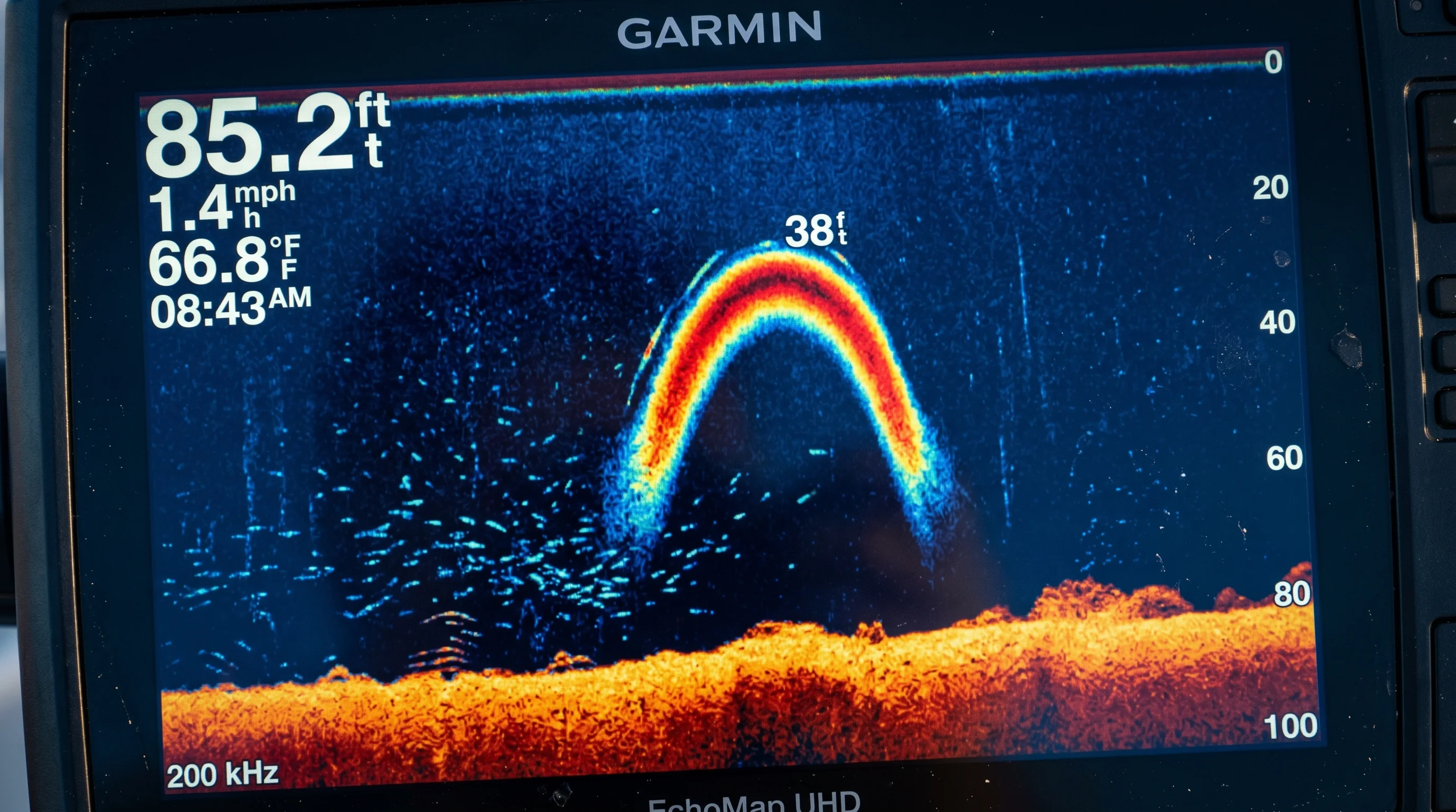 Detailed sonar return with thick arches showing red and yellow color density cores